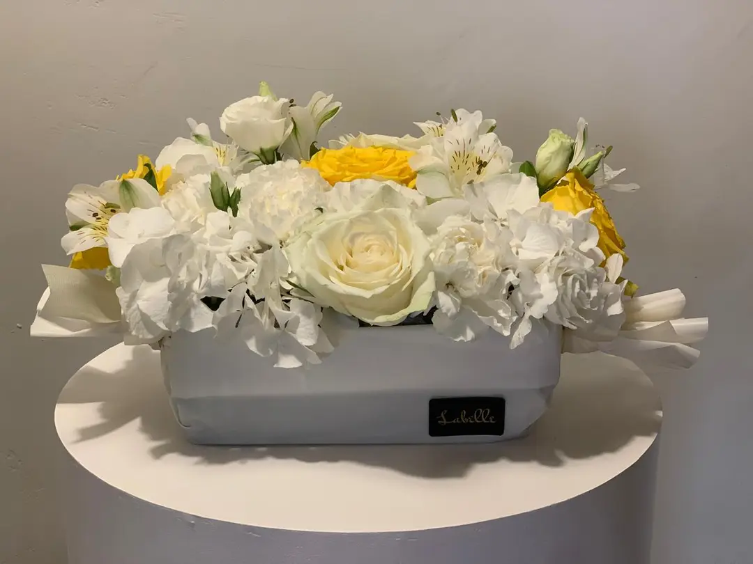 Summer Lollipop